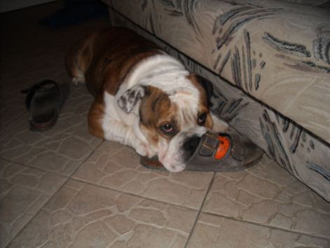 dscn0300.jpg
