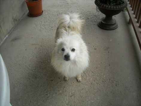 dscn0378.jpg